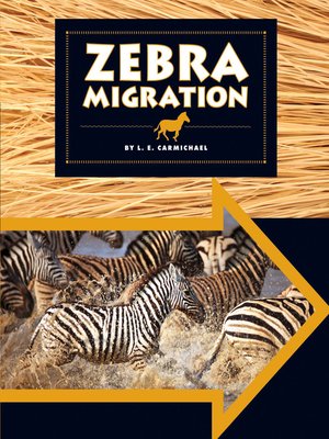 cover image of Zebra Migration